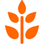 Kweekschema